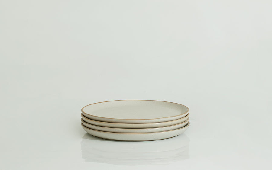 The Entrée Flat Lip Plate