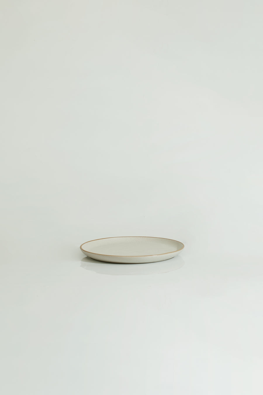 The Entrée Flat Lip Plate